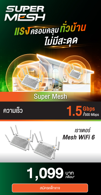 Super Mesh  1099